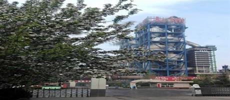 安博（中国）一站式服务平台春景（八）